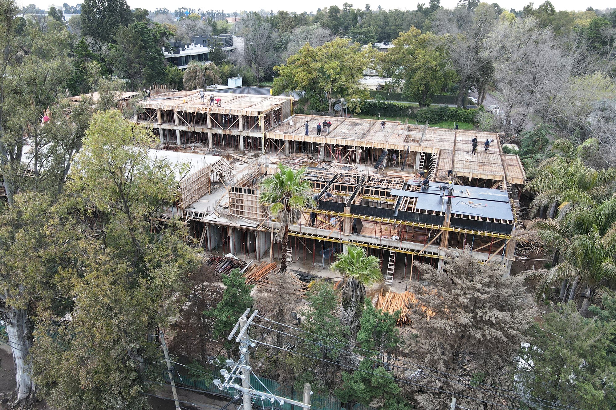 Las nuevas construcciones en un entorno de bosque