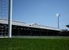 Fulham vs Newcastle en vivo por la fecha 38 de la Premier League: hora, dónde ver y formaciones