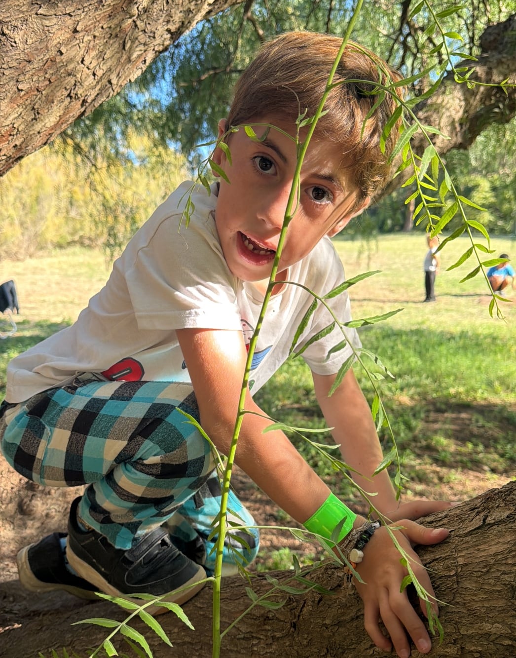 Su mamá cuenta que Milo es un niño sano y feliz que vive su vida sin ningún tipo de limitación y disfruta plenamente de su infancia.