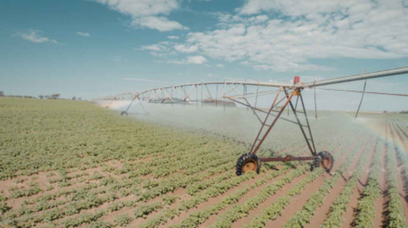 Sistemas de riego y mejoras energéticas figuran entre las actividades alcanzadas por los beneficios fiscales.(Foto: Gobierno de Córdoba).