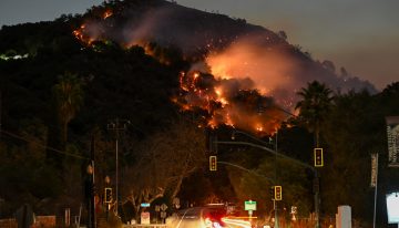 Fuego para prevenir los incendios: funciona y es rentable