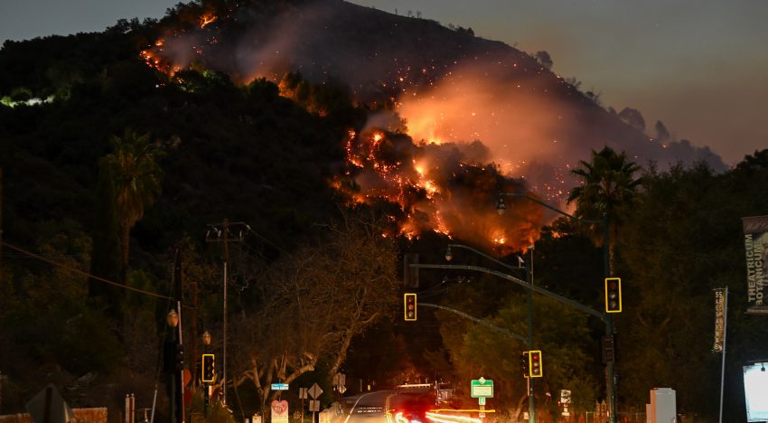 Fuego para prevenir los incendios: funciona y es rentable