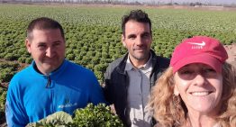 Ya coordina 1000 hectáreas: la ingeniera agrónoma detrás de un sueño para revolucionar la producción hortícola