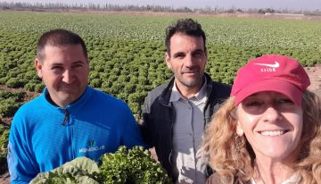 Ya coordina 1000 hectáreas: la ingeniera agrónoma detrás de un sueño para revolucionar la producción hortícola