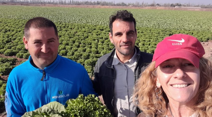 Ya coordina 1000 hectáreas: la ingeniera agrónoma detrás de un sueño para revolucionar la producción hortícola