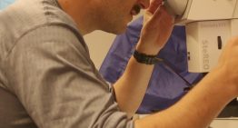 Tiene ocho años, buscaba un objeto que pudiera mostrar en su clase y de casualidad encontró un tesoro romano