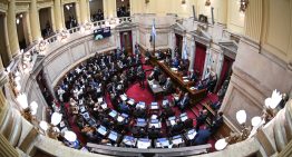 Un senador libertario admitió que podría dividirse la reforma electoral para acelerar su tratamiento