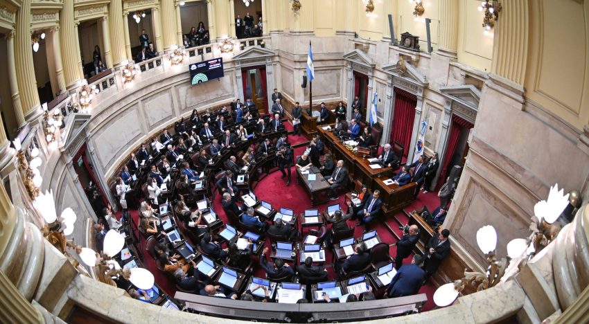Un senador libertario admitió que podría dividirse la reforma electoral para acelerar su tratamiento