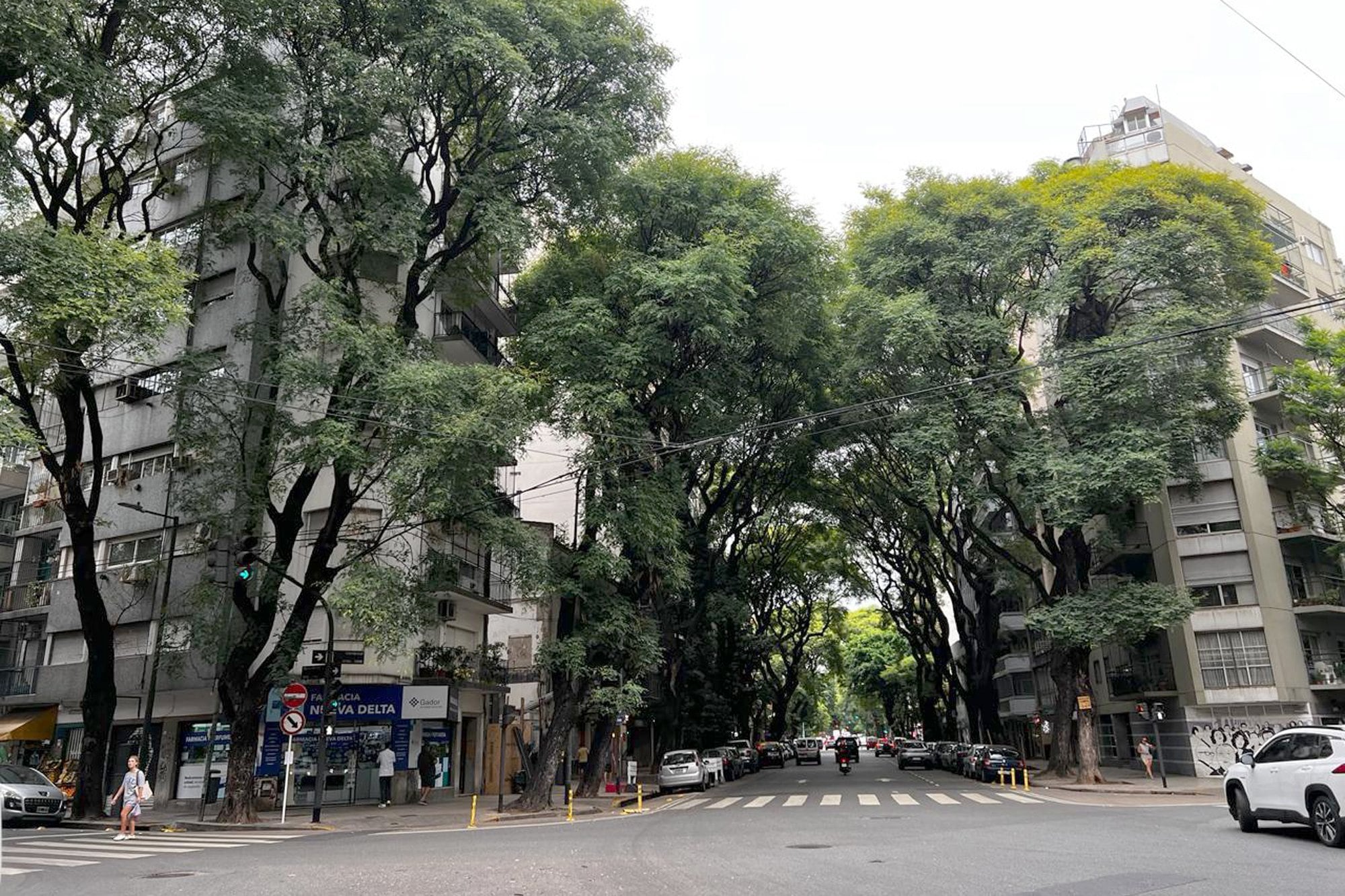 Palermo es uno de los barrios más caros tanto para comprar como para alquilar