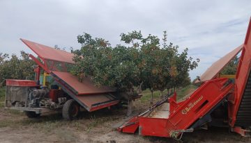 “Métanse en la cereza, el pistacho, tengan vacas”: el impactante giro en una provincia históricamente ligada al vino