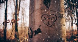 Una aventura los unió, dos cosas esenciales para el amor los separó y un reencuentro lo cuestiona todo: “¿Hice bien?”