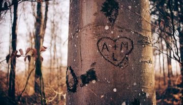 Una aventura los unió, dos cosas esenciales para el amor los separó y un reencuentro lo cuestiona todo: “¿Hice bien?”