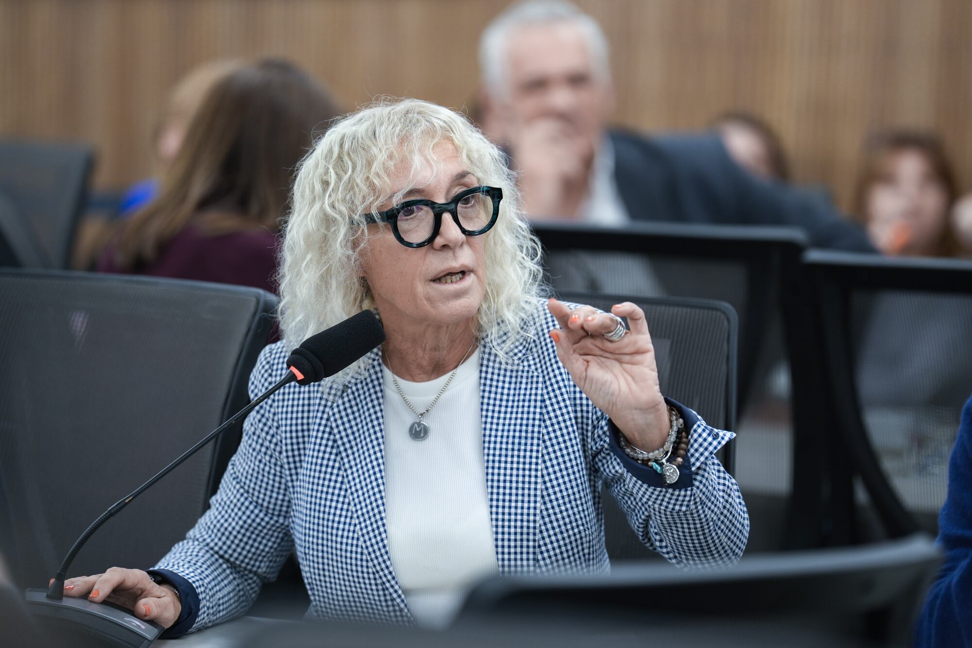 Mónica Frade, diputada Coalición Cívica, reiteró sus cuestionamientos al jefe de Gabinete, Manuel Adorni. . Foto Cámara de Diputados.