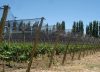 Buscan acelerar proyectos rurales con ventajas impositivas para pymes y economías regionales