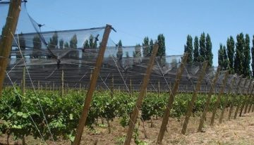 Buscan acelerar proyectos rurales con ventajas impositivas para pymes y economías regionales