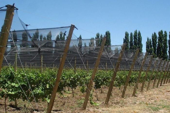 Buscan acelerar proyectos rurales con ventajas impositivas para pymes y economías regionales