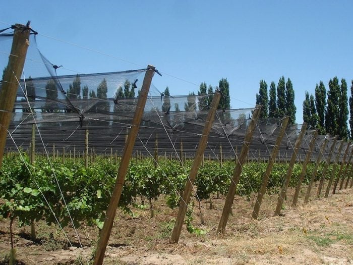 El régimen contempla beneficios para infraestructura destinada a proteger cultivos frente a eventos climáticos extremos. (Foto: Gobierno de Mendoza).