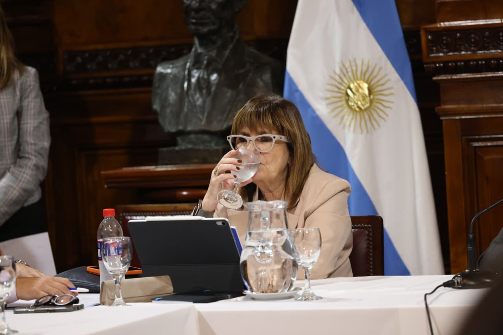 Patricia Bullrich en el Senado