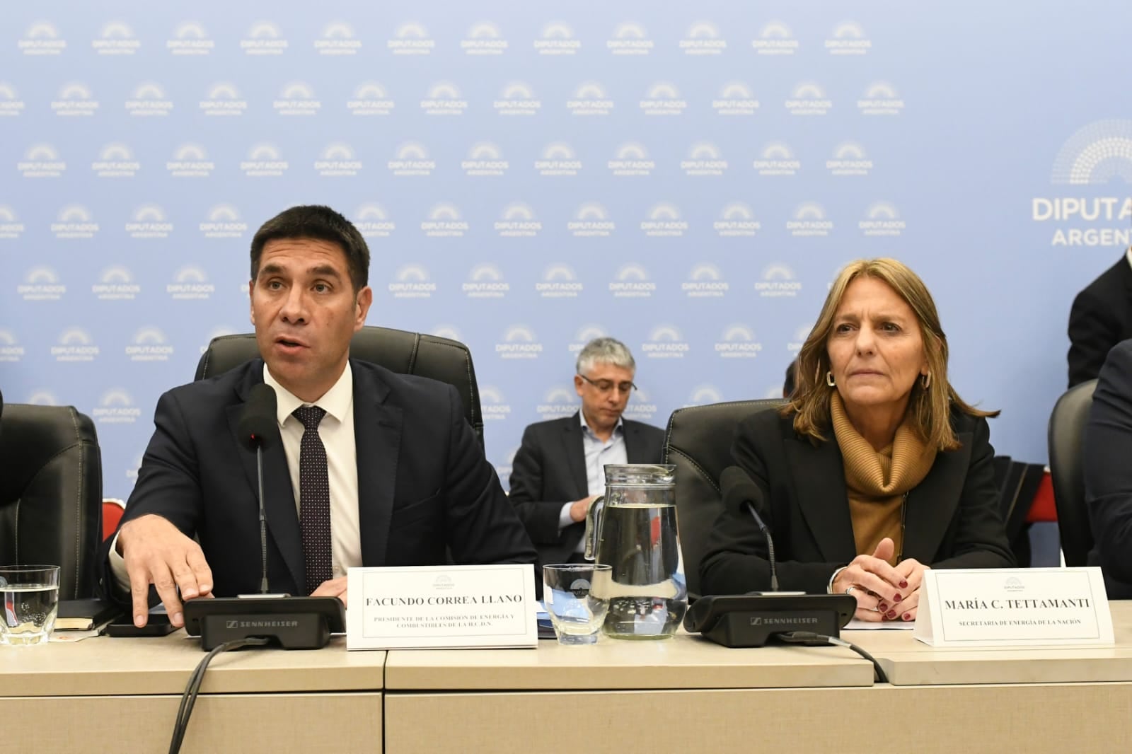 El libertario Facundo Correa Llano, presidente del plenario, junto con la secretaria de Energía, María Tettamanti