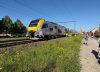 Un tren chocó contra un autobús escolar en Bélgica y hay varios muertos
