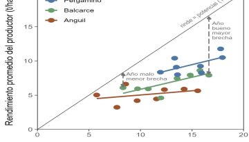 Cuando hay agua,  ¿cerramos la brecha o se corre el arco?