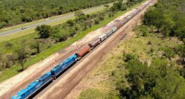 Belgrano Cargas: cinco gigantes del agro van por la concesión mientras el Gobierno ultima su privatización