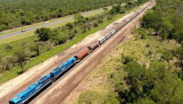 Belgrano Cargas: cinco gigantes del agro van por la concesión mientras el Gobierno ultima su privatización