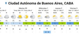 Frío polar en Buenos Aires: se avecina el día más gélido del año, según el SMN