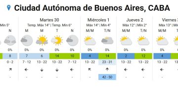 Frío polar en Buenos Aires: se avecina el día más gélido del año, según el SMN