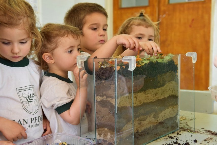 Ubicada junto a la Reserva Natural General San Martín, la escuela transformó sus espacios en un laboratorio vivo donde los alumnos desarrollan iniciativas de sostenibilidad, reciclaje y conservación ambiental