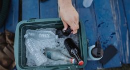 Nevera Polarbox de 12 o 20 litros: diseño icónico y máxima eficacia manteniendo alimentos y bebidas frescas