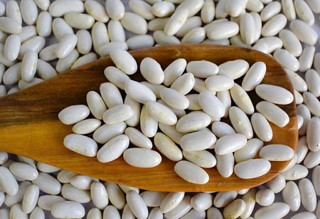 El próximo objetivo del proyecto es investigar las propiedades del aquafaba de porotos