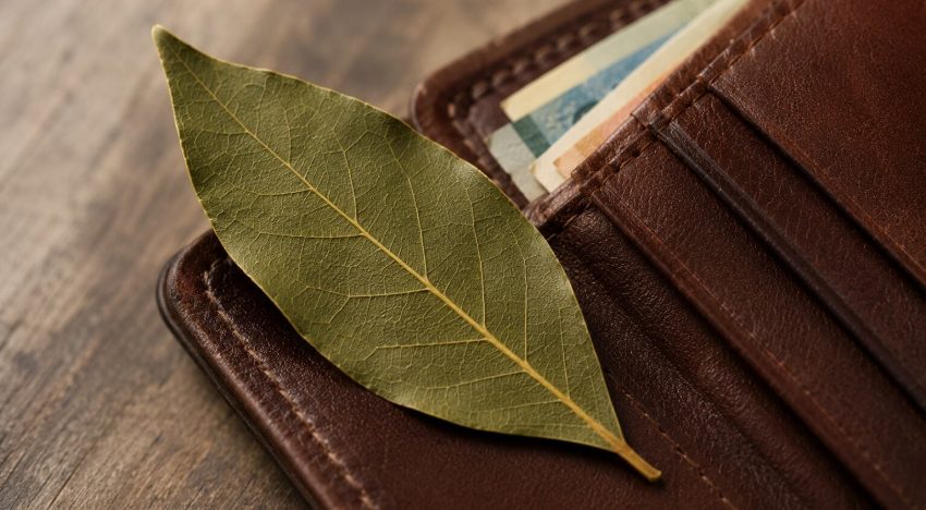 Qué amuleto de la suerte tenés que llevar en tu billetera, según tu mes de nacimiento