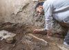 Impactante hallazgo en Pompeya: encontraron dos caballos sepultados vivos dentro de una panadería romana