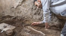 Impactante hallazgo en Pompeya: encontraron dos caballos sepultados vivos dentro de una panadería romana