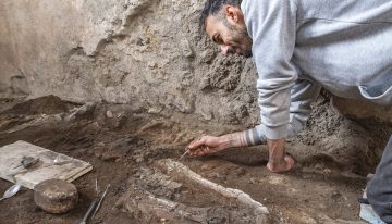 Impactante hallazgo en Pompeya: encontraron dos caballos sepultados vivos dentro de una panadería romana