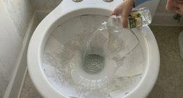 María Fernández, experta en limpieza: “Para sacar el sarro del inodoro, poné papel de cocina en los bordes”