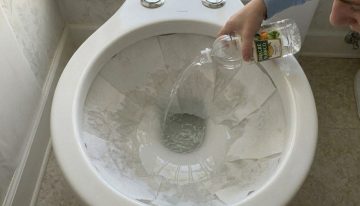 María Fernández, experta en limpieza: “Para sacar el sarro del inodoro, poné papel de cocina en los bordes”
