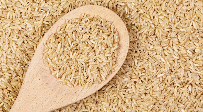 “Cada vez somos menos”: hay riesgo de que este año muchos productores abandonen la siembra de un tradicional cultivo