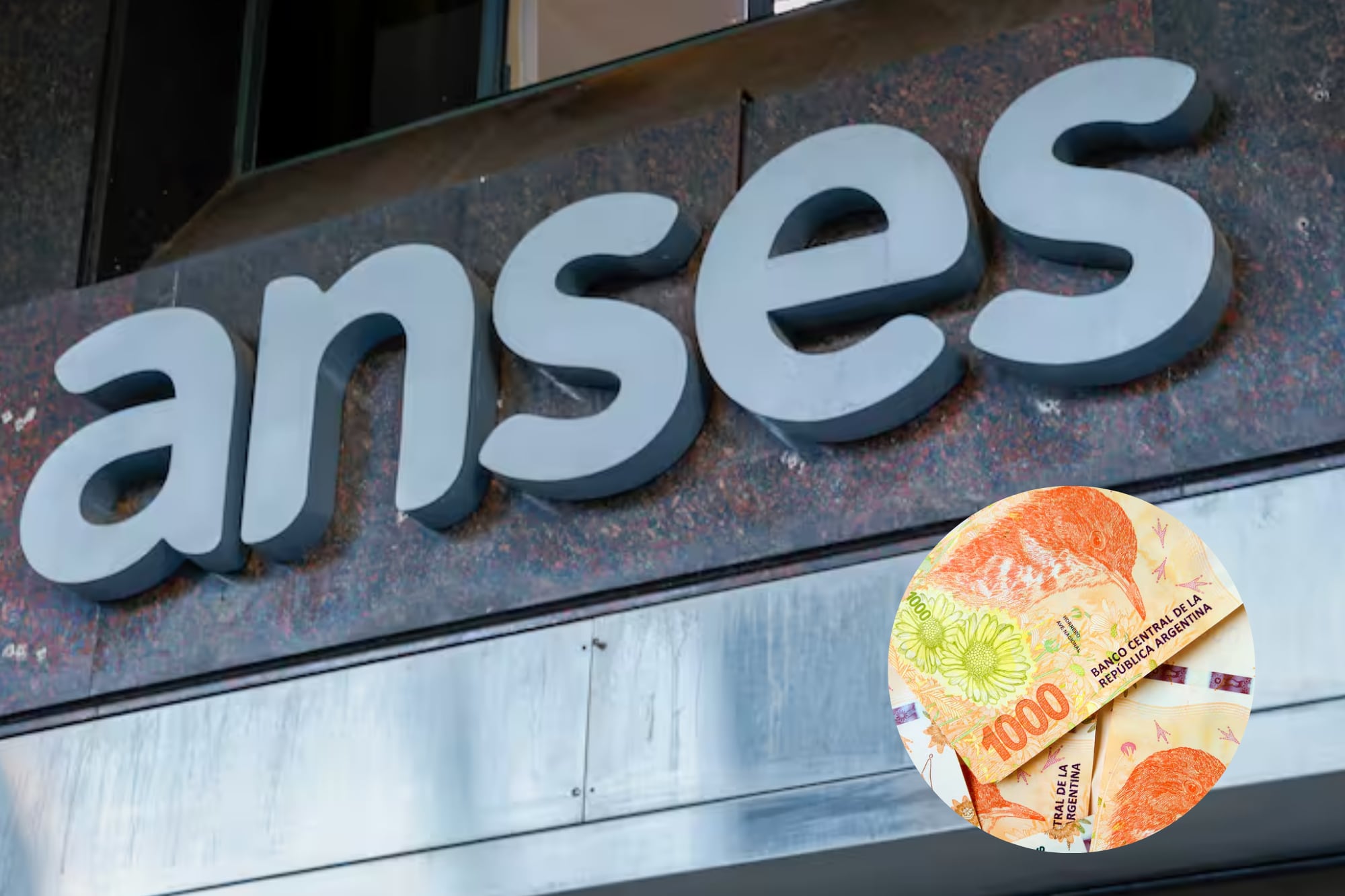 Todas las fechas de cobro de las prestaciones de Anses en julio