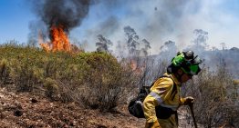 La UME se incorpora a los trabajos para sofocar el incendio de Huelva, que ha quemado más de 3.000 hectáreas