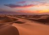 Es argentino y creó algo que parecía imposible: ladrillos con arena del desierto con los que factura millones de dólares