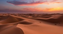 Es argentino y creó algo que parecía imposible: ladrillos con arena del desierto con los que factura millones de dólares
