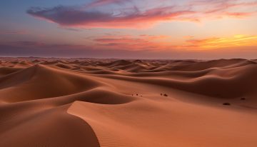 Es argentino y creó algo que parecía imposible: ladrillos con arena del desierto con los que factura millones de dólares