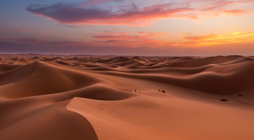 Es argentino y creó algo que parecía imposible: ladrillos con arena del desierto con los que factura millones de dólares