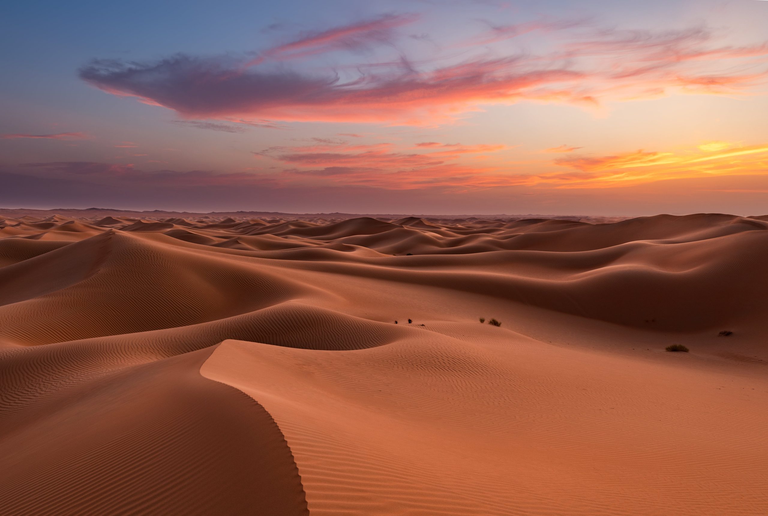 El disparador de su proyecto fue: ¿por qué en Emiratos Árabes Unidos, un territorio cubierto de desierto, se usa arena de otros países -en especial de Malasia e Indonesia- para construir?