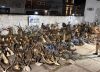 Un empresario brasileño pagó US$40.000 por cazar un ciervo y ahora se investiga una causa por presunto tráfico de fauna