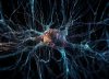 Un neurólogo explicó en detalle la relación entre los picos de glucosa y el Alzheimer