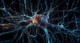 Un neurólogo explicó en detalle la relación entre los picos de glucosa y el Alzheimer