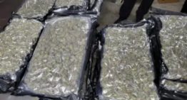 Cargamento sospechoso: intentaron cruzar a Nueva York cajas llenas de “chocolate”, pero la CBP descubrió lo que ocultaban